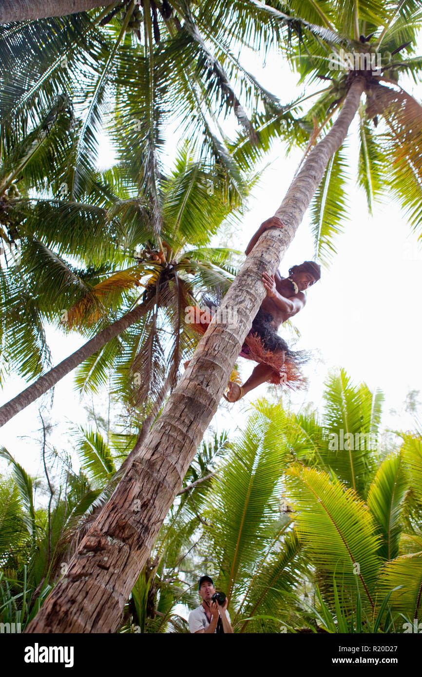 Coconut tree climbing demonstration near Muri Lagoon, Rarotonga, Cook Islands. Stock Photo