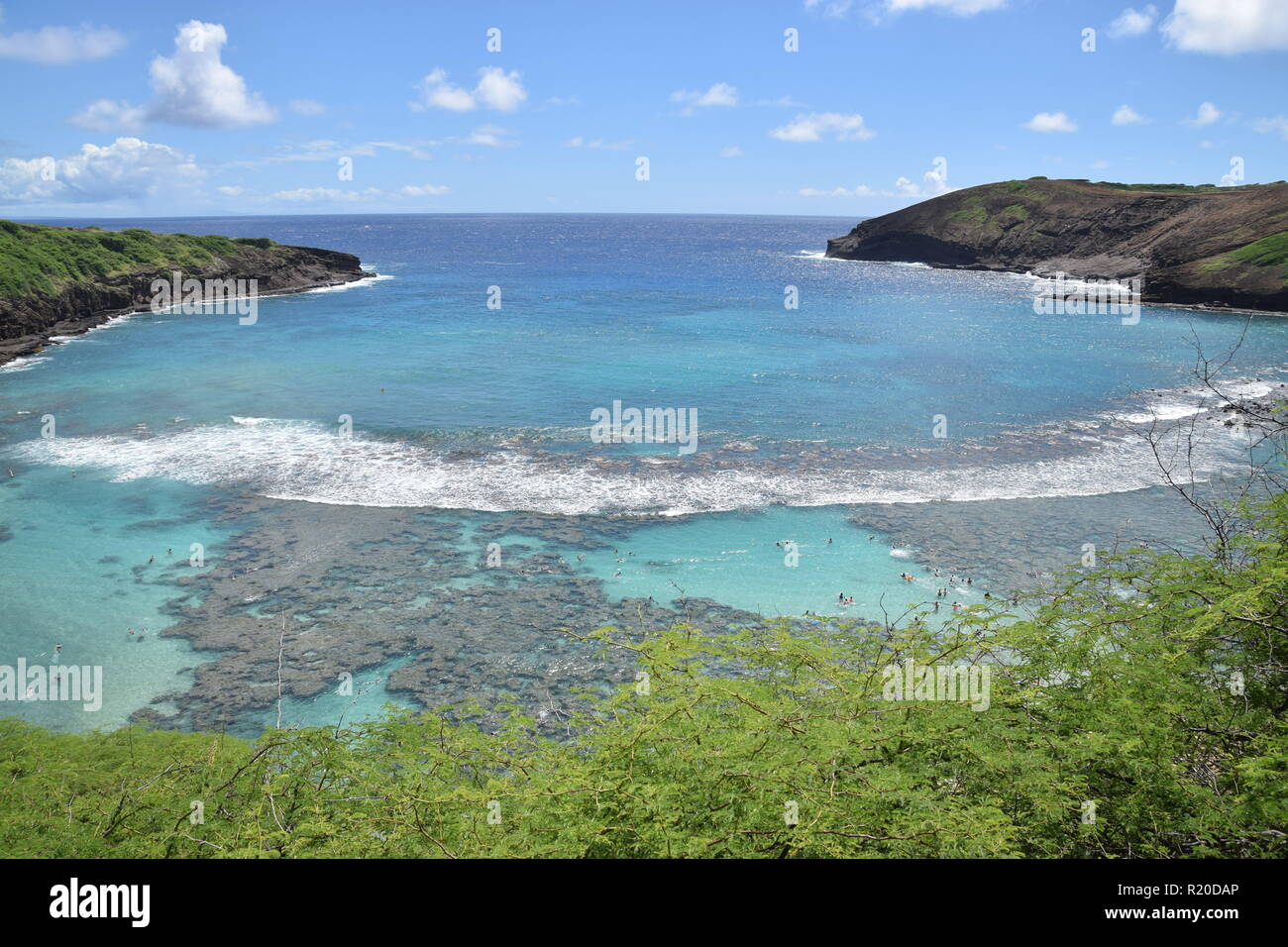 Coral Reef at Hanauma Bay on Oahu with a wave breaking in the blue ...