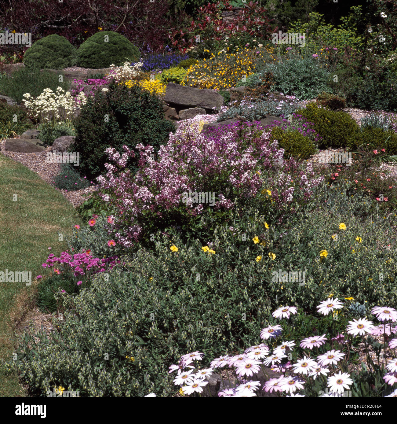 Perennials hi-res stock photography and images - Alamy