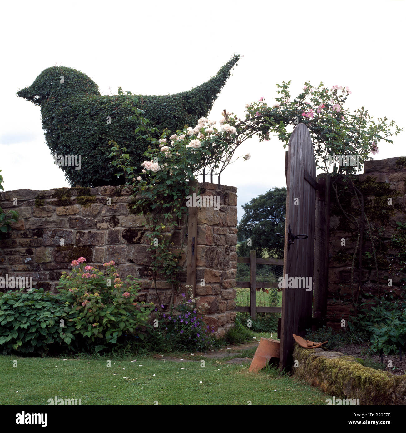 Large topiary bird on garden wall Stock Photo