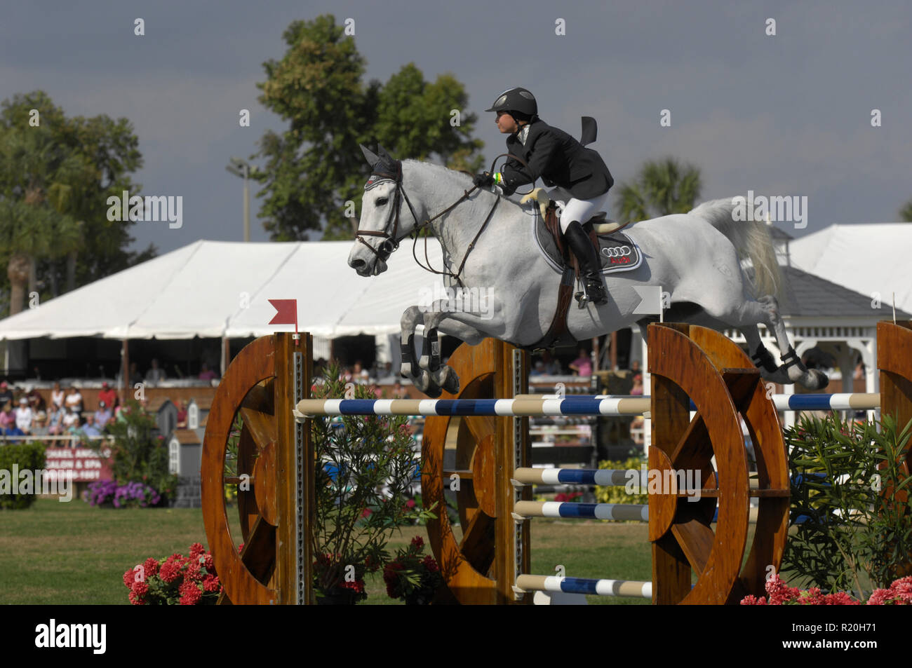Bloomberg (USA) riding Cim Christo, CSIW Wellington, February