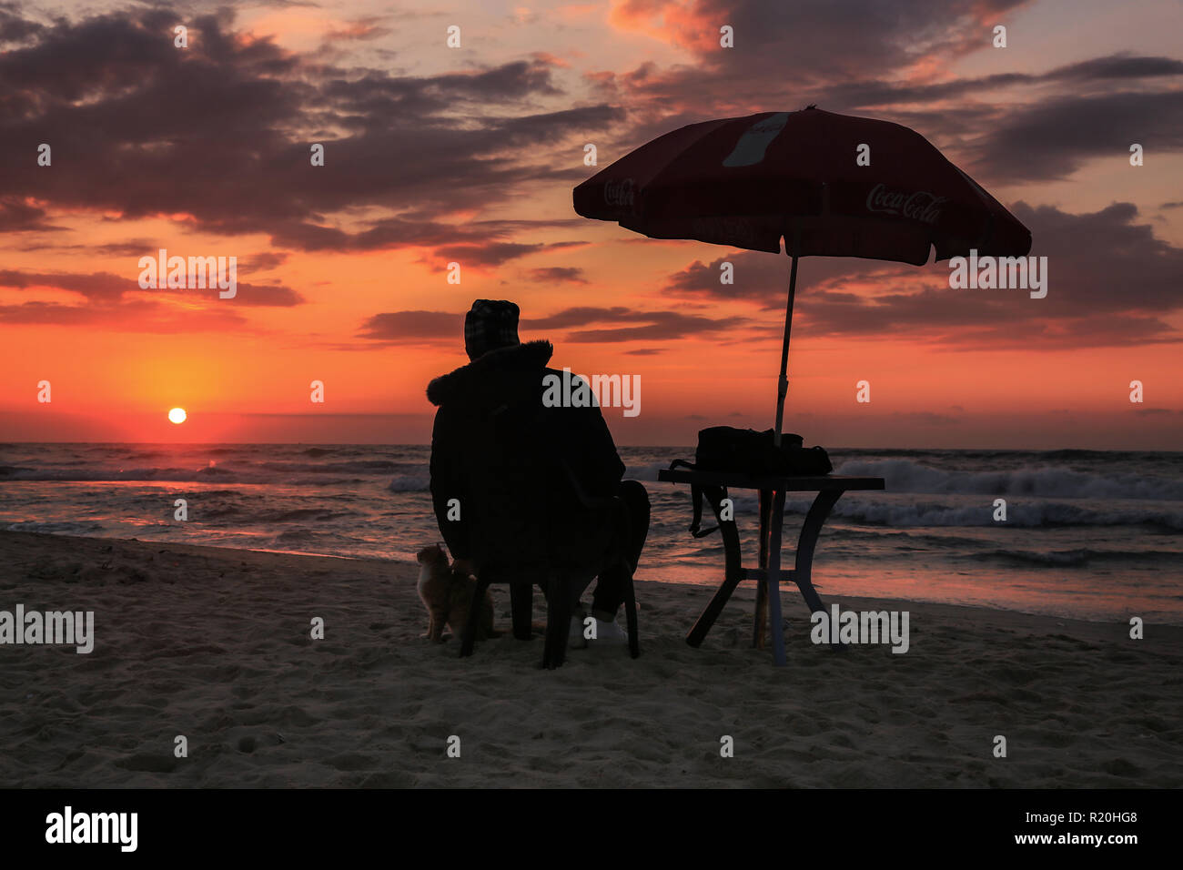 Silhouette  PHOTO Of Man and his domestic cat at Gaza beach during sunset time Stock Photo