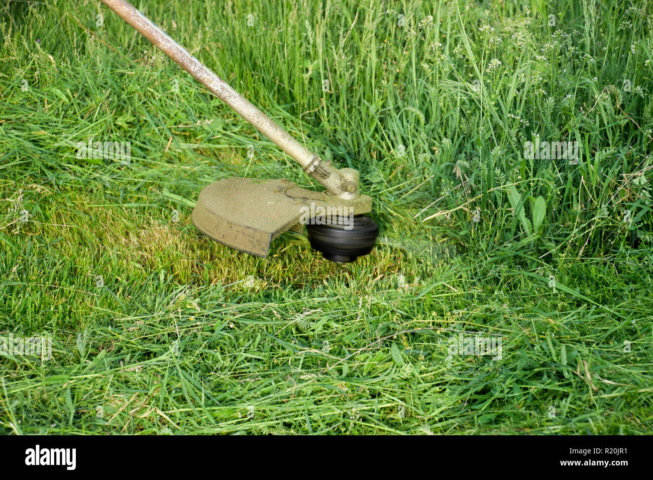 Application trimmers. Mowing green grass using a fishing line trimmer Stock Photo