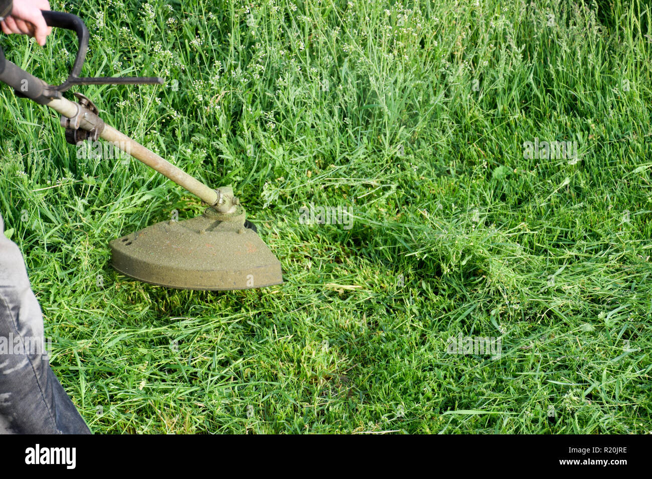 Application trimmers. Mowing green grass using a fishing line trimmer Stock Photo