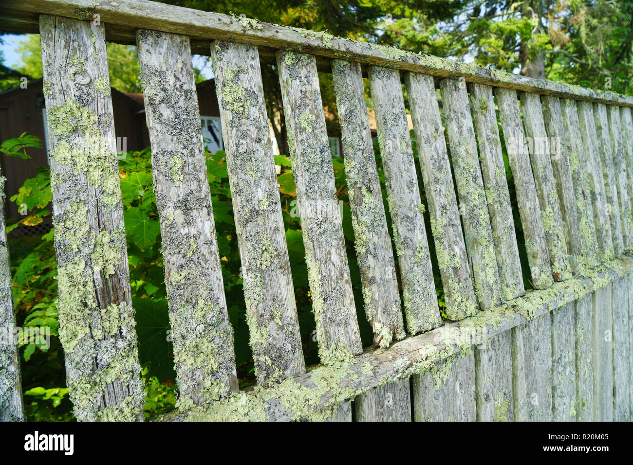 Old wooden fence covered with green moss, Bar Harbor, Maine, USA Stock ...