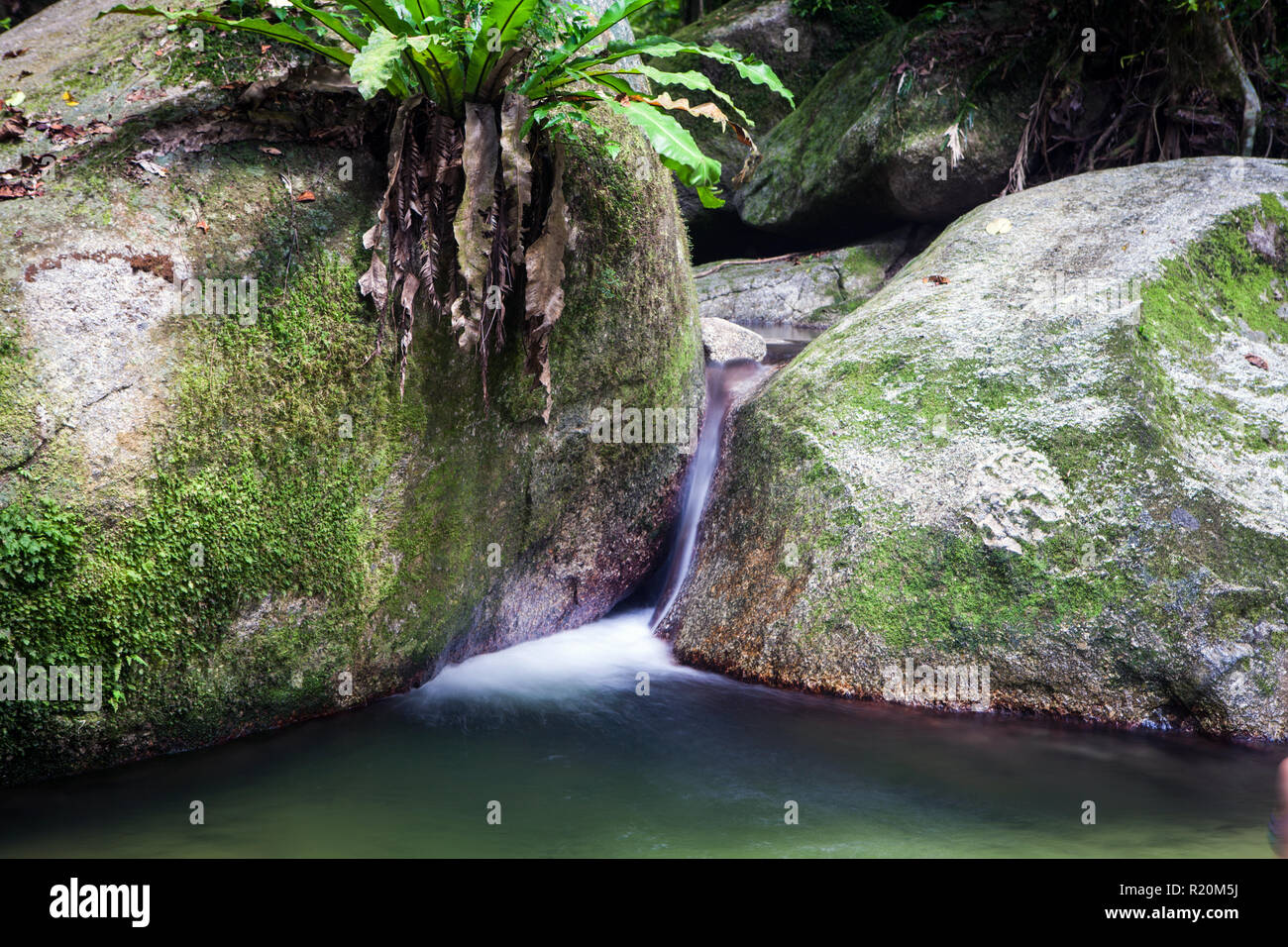 Mossman North Queensland, Australia Stock Photo Alamy