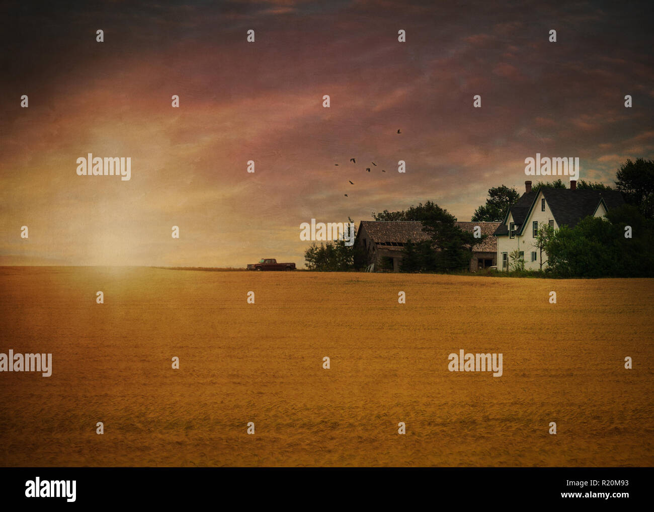 Sunrise over farm field hi-res stock photography and images - Alamy
