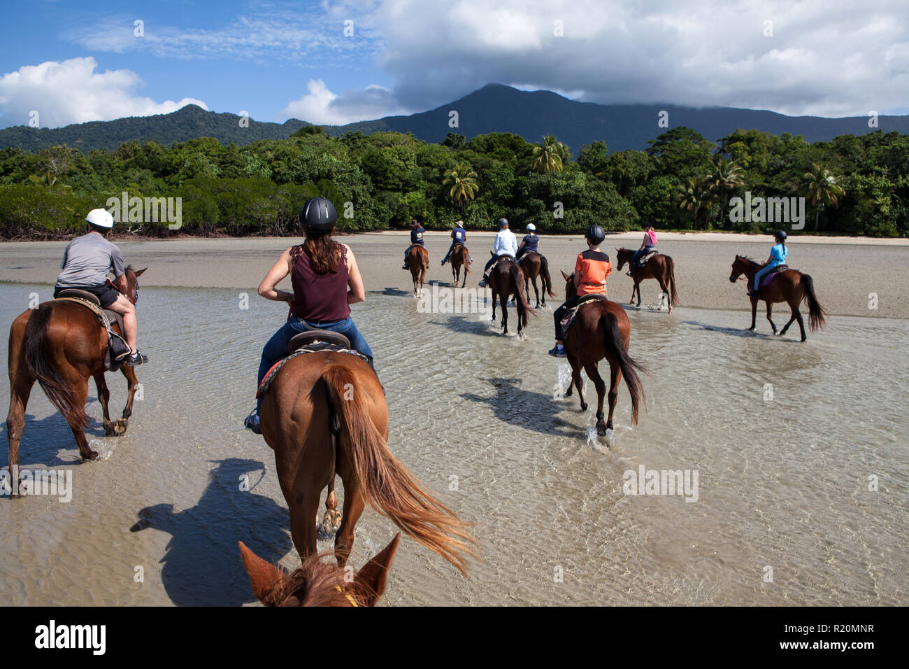 Horse Riding, Cape Tribulation, Queensland, Australia Stock Photo Alamy