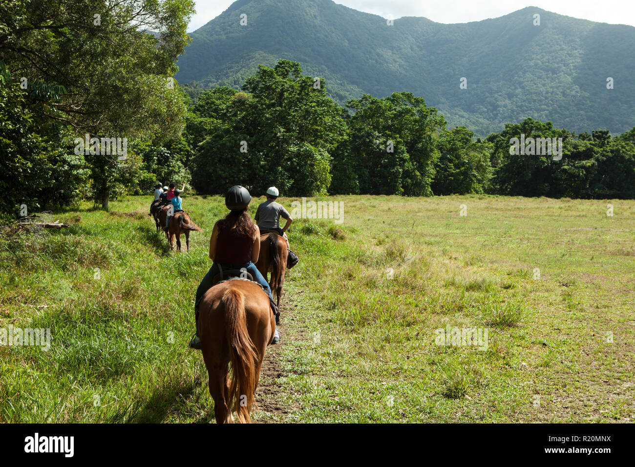 Horse Riding, Cape Tribulation, Queensland, Australia Stock Photo Alamy