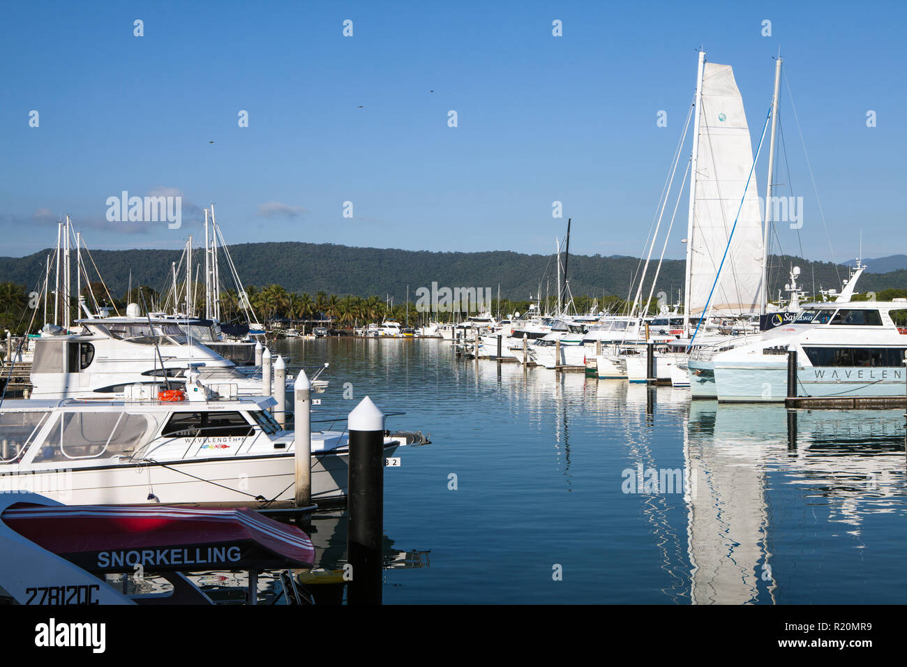 Port Douglas marina, Queensland, Australia Stock Photo - Alamy