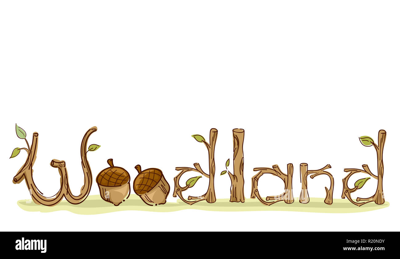 Colorful Typography Illustration Featuring the Word Woodland Decorated