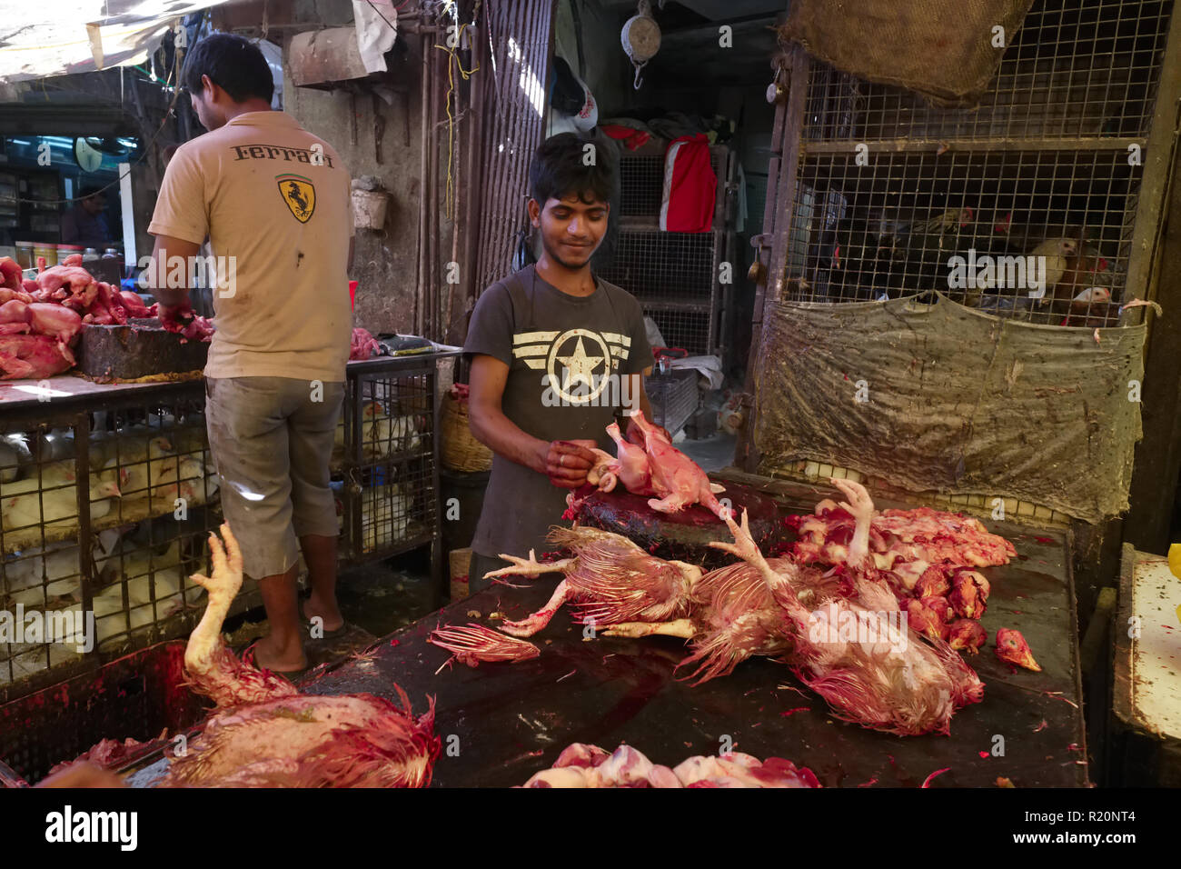 Inside a slaughterhouse in Null Bazar area, Mumbai, India, the animals being killed and processed in a haphazard, cruel and unsanitary way Stock Photo