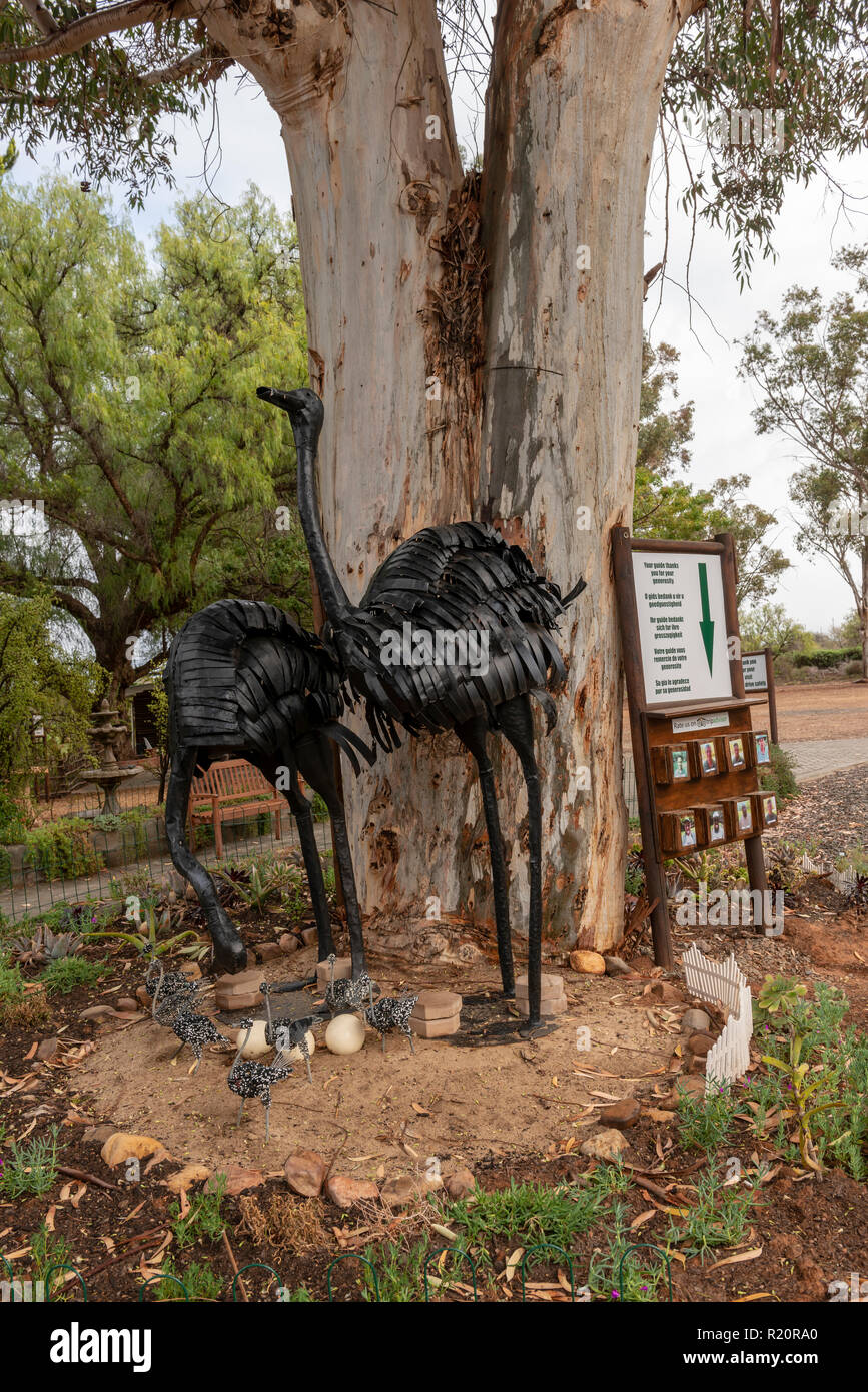 Safari Ostrich Farm