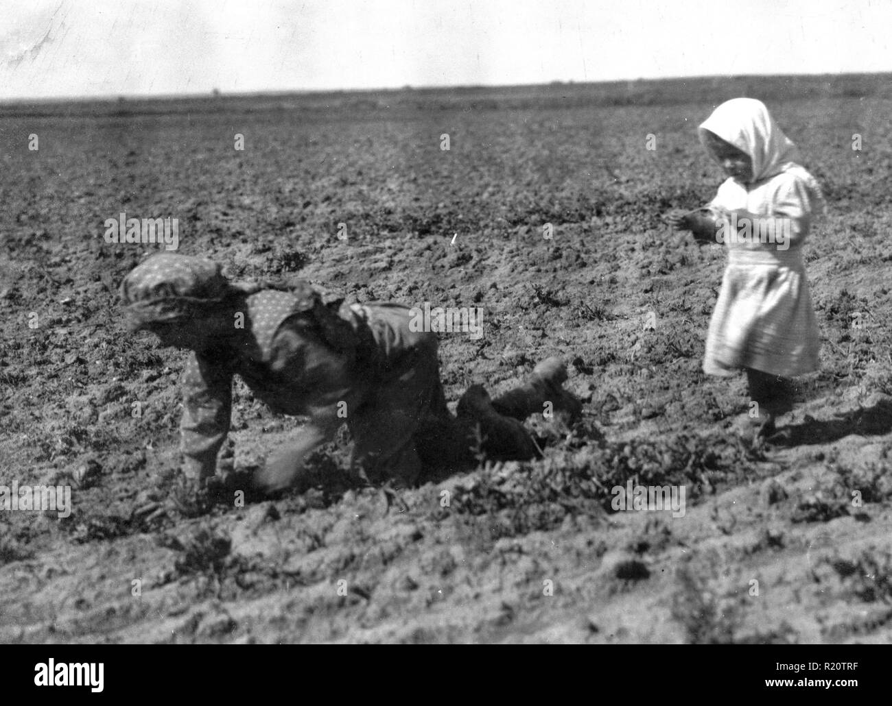 Photograph of an eleven-year old Elizabeth working within the sugar beets near Ordway, Colorado. Photographed by Lewis Wickes Hine (1874- 1940) an American sociologist and photographer, his photographs were instrumental in the reform of child labour laws in the United States. Dated 1915 Stock Photo