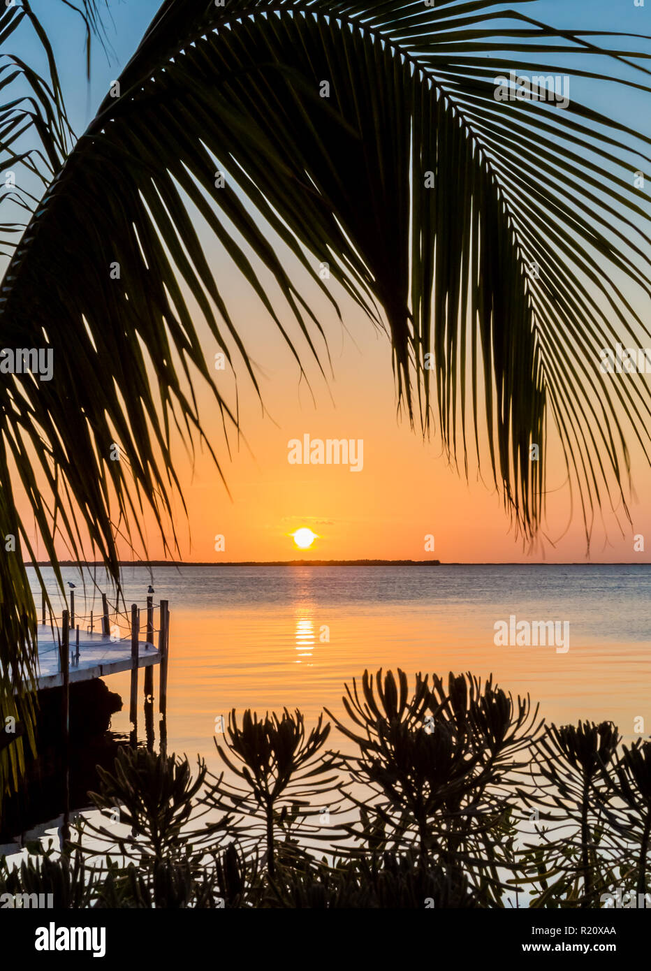 Scenic tropical Florida keys sunset Stock Photo Alamy