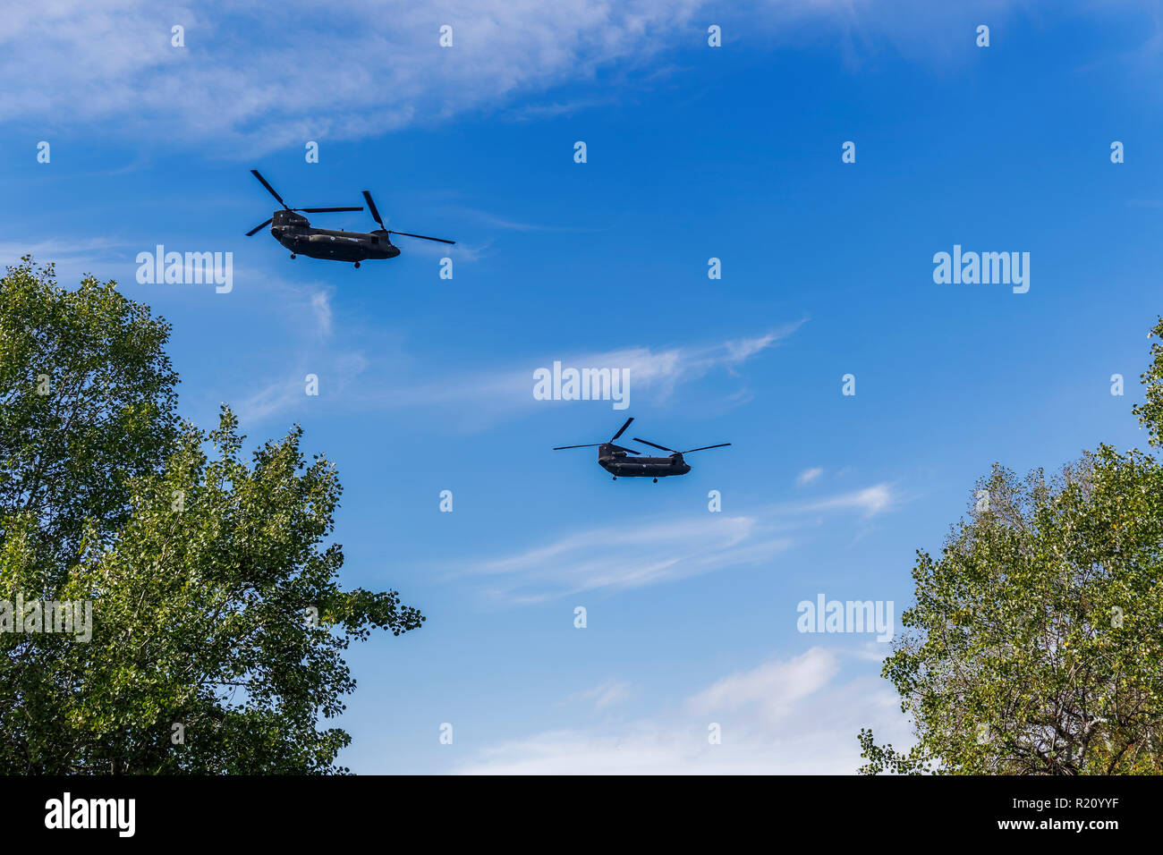 Greek Air Force Chinook helicopters flying.  2 Boeing CH-47 Chinook twin engined lift helicopters at 28 October military parade. Stock Photo