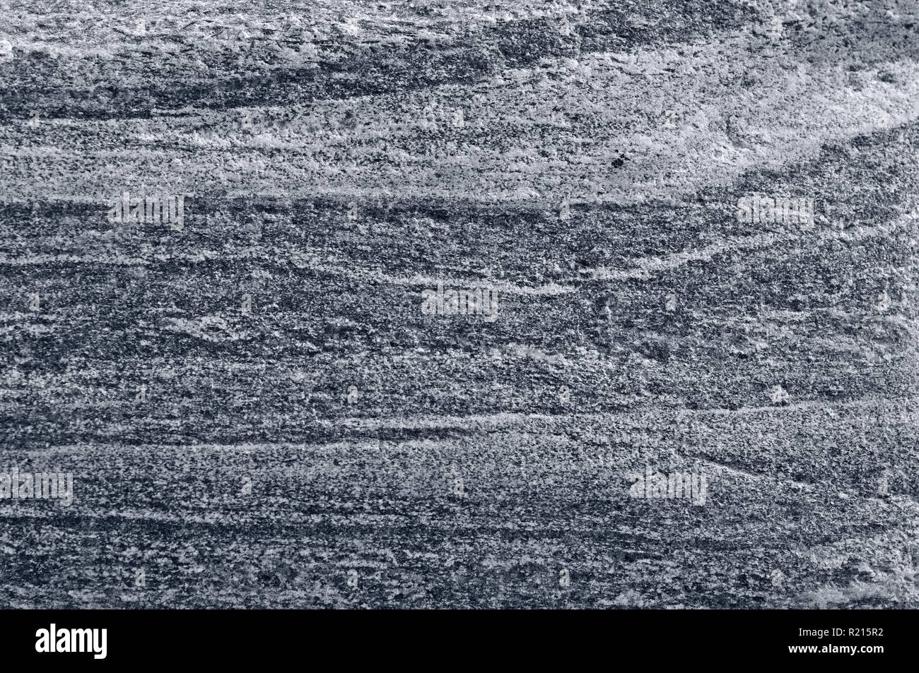 Migmatitic gneiss migmatite rock bands pattern, grey light dark banded granite texture macro closeup, large detailed textured silver gray horizontal Stock Photo