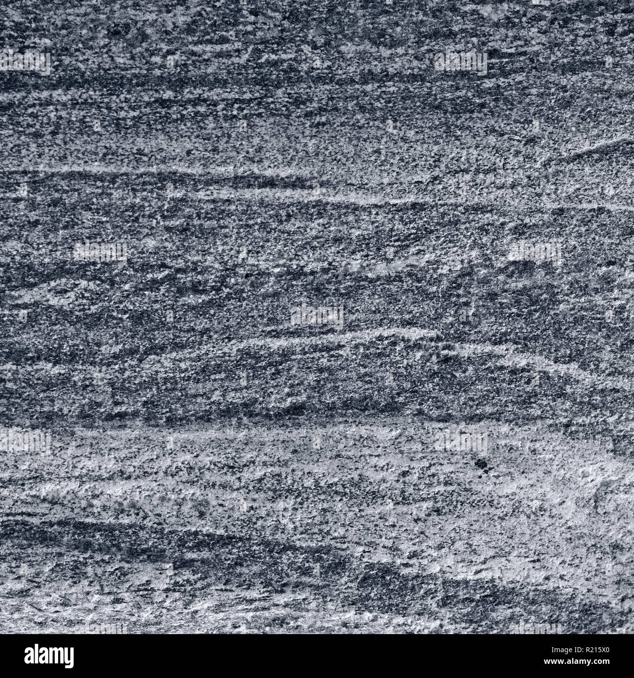 Migmatitic gneiss migmatite rock bands pattern, grey light dark banded granite texture macro closeup, large detailed textured silver gray horizontal Stock Photo