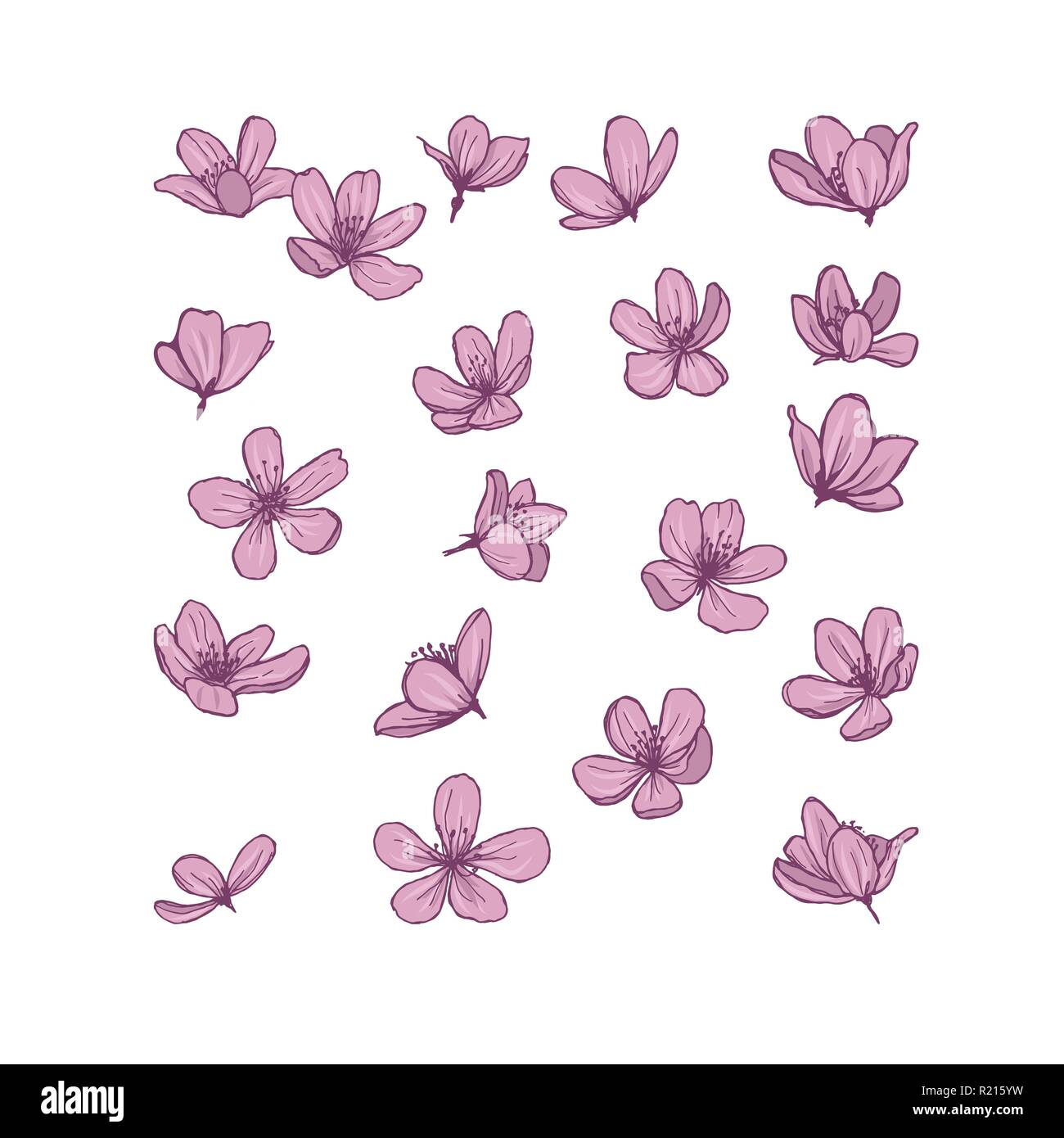 Gentle spring blooming flowers for your design. Stock Vector