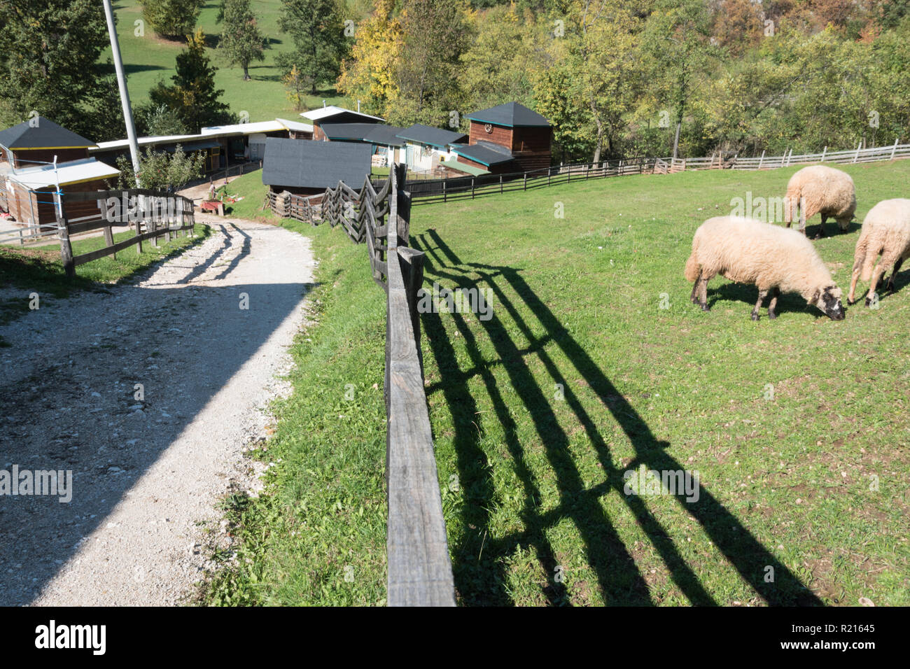 Rural wooden fence Stock Photo - Alamy