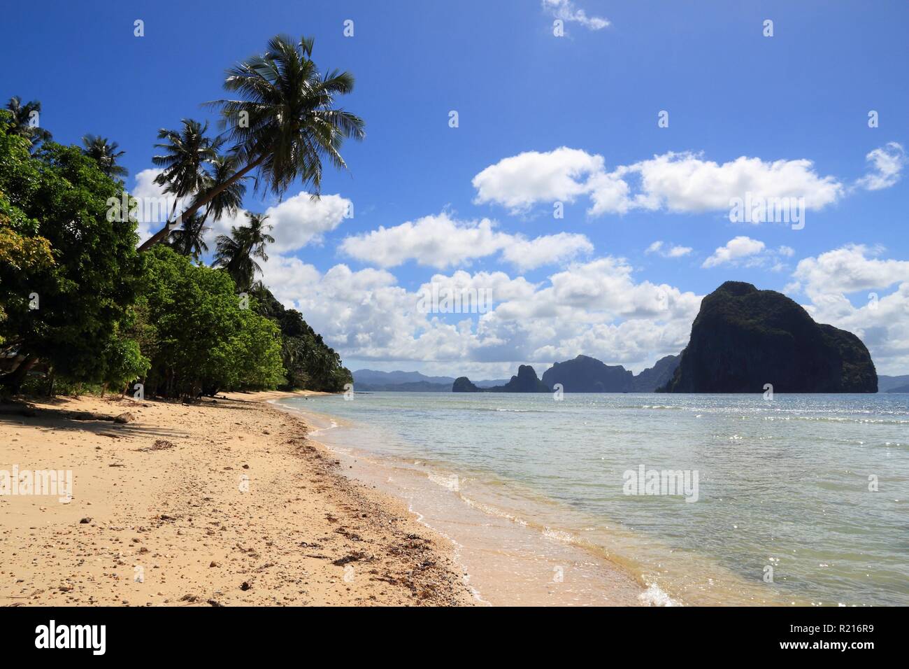 Leaning palm trees of Las Cabanas beach in El Nido, Palawan island, Philippines. Stock Photo