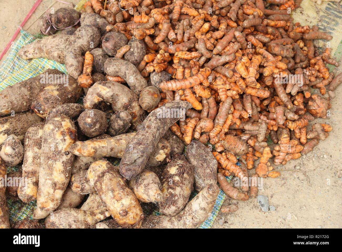 VEGETABLES AVAILABLE IN THE PHILIPPINES visual data 3
