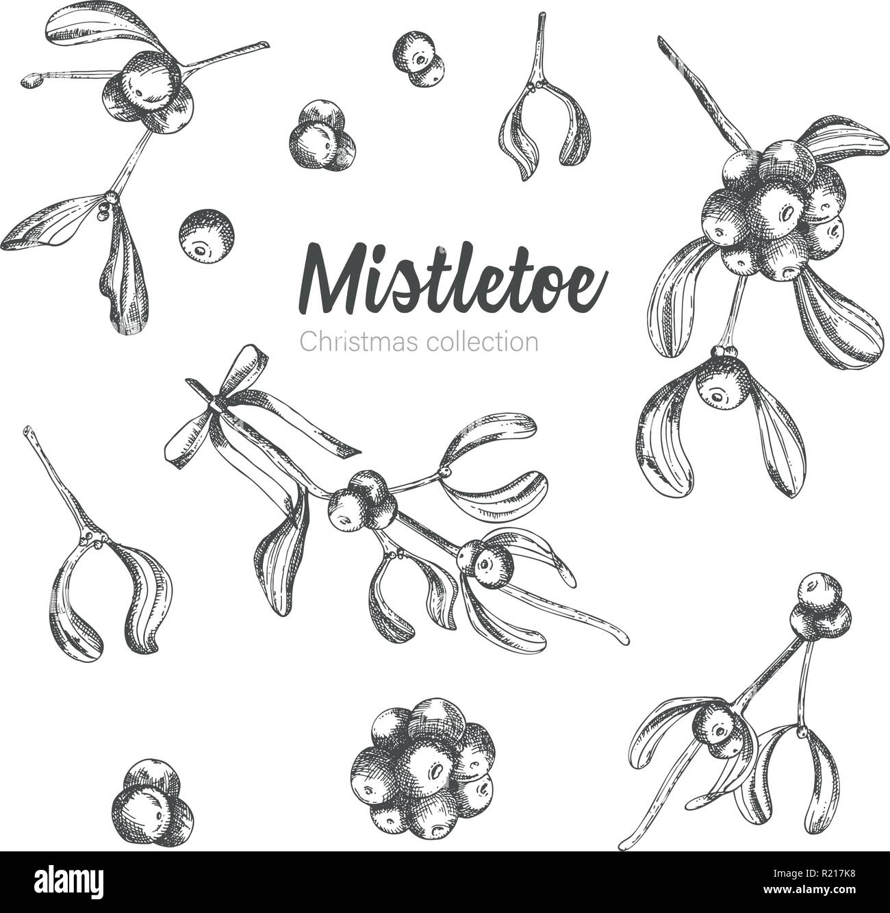 Set of hand drawn sketch Christmas mistletoe branches. Vintage style. Traditional christmas decoration. For design holiday card, invitation, poster, banner. Stock Vector