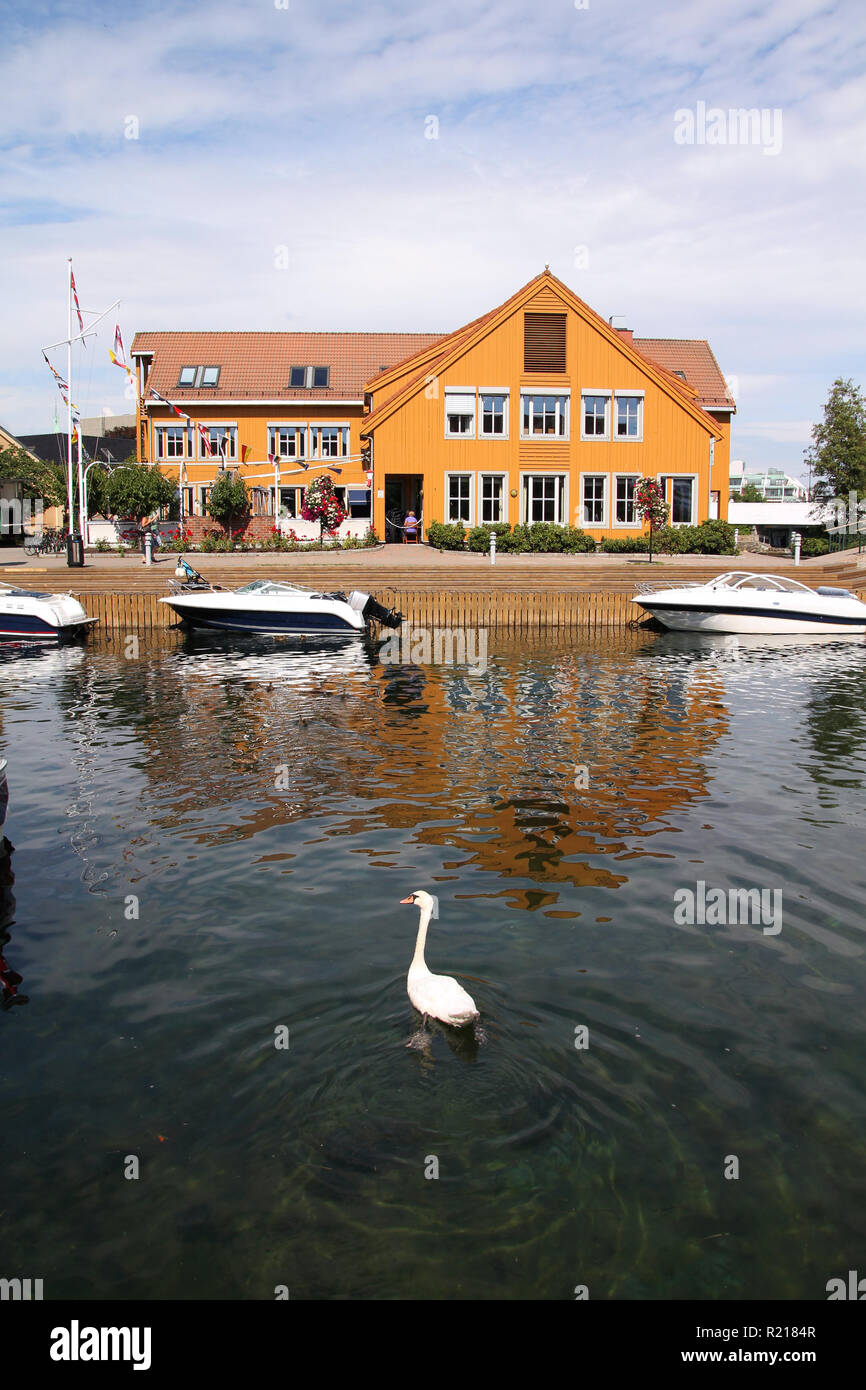 Kristiansand, Norway. Capital of Vest-Agder county. White swan in the harbor. Stock Photo