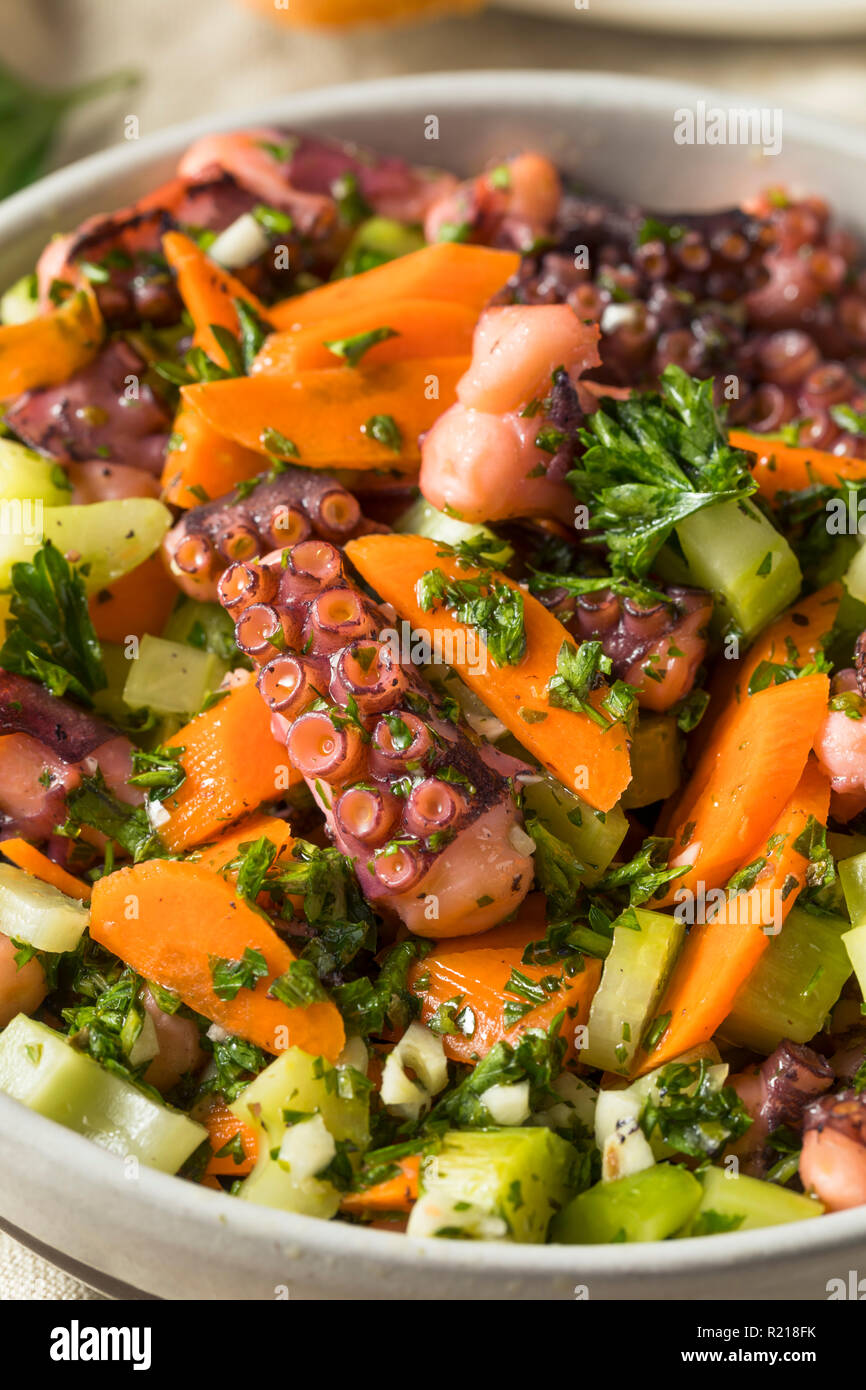 Homemade Mediterranean Octopus Salad with Vegetables and Dressing Stock