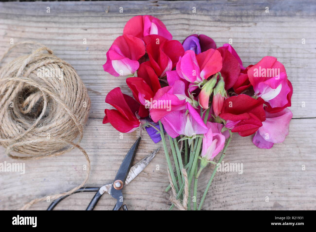 Lathyrus odoratus - Spencer variety. Freshly cut bunch of sweet pea flowers on wooden table, UK Stock Photo