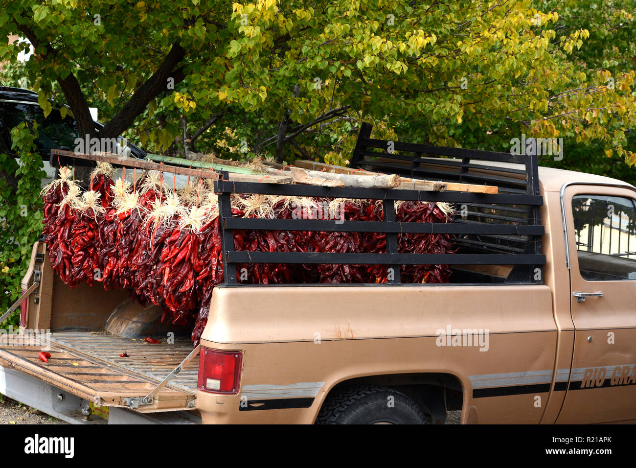 A pickup truck filled with strings of dried chile peppers, or ristras