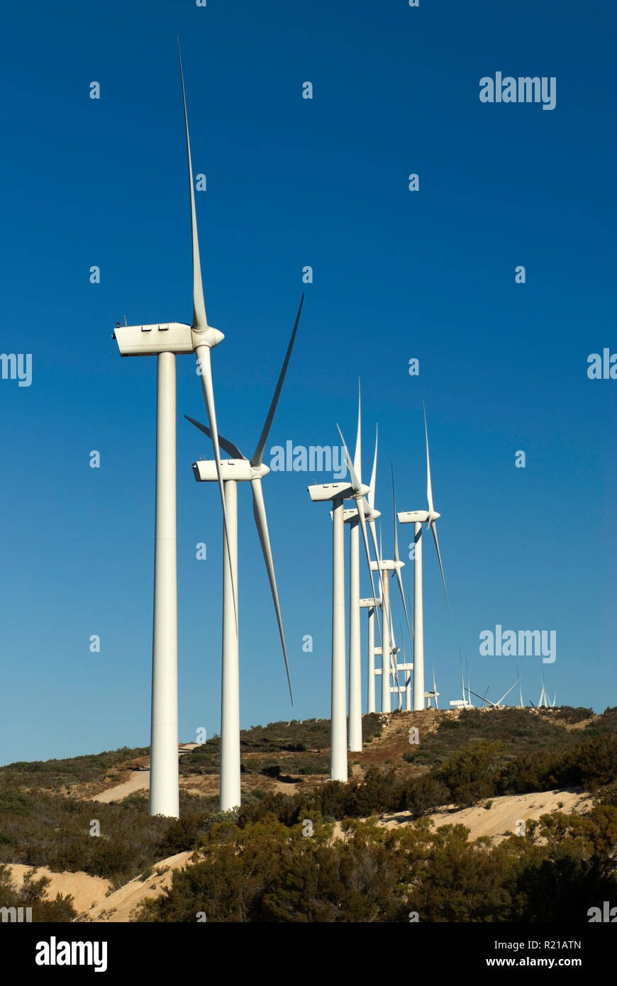 Wind power generators in Tecate Divide seen from Tecate Summit on