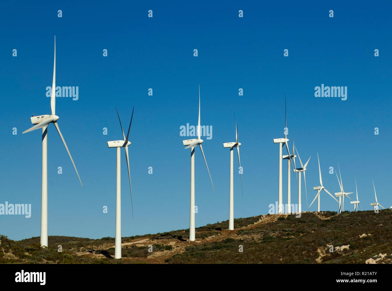 Wind power generators in Tecate Divide seen from Tecate Summit on
