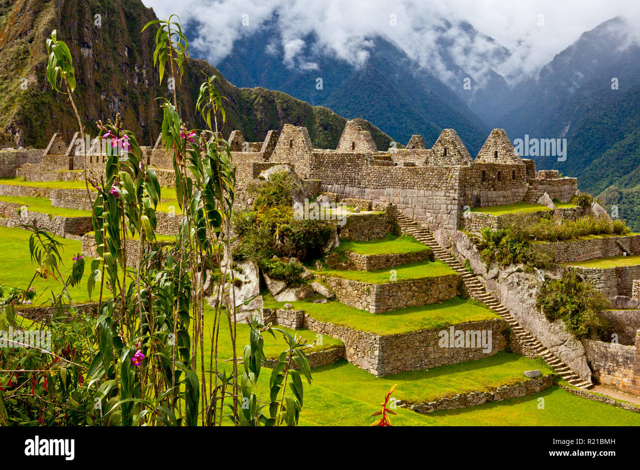 Matsu pitsu hires stock photography and images Alamy