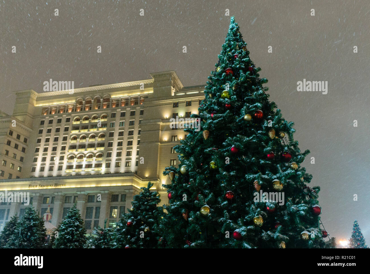 Christmas trees at the Manezh Square in Moscow Stock Photo