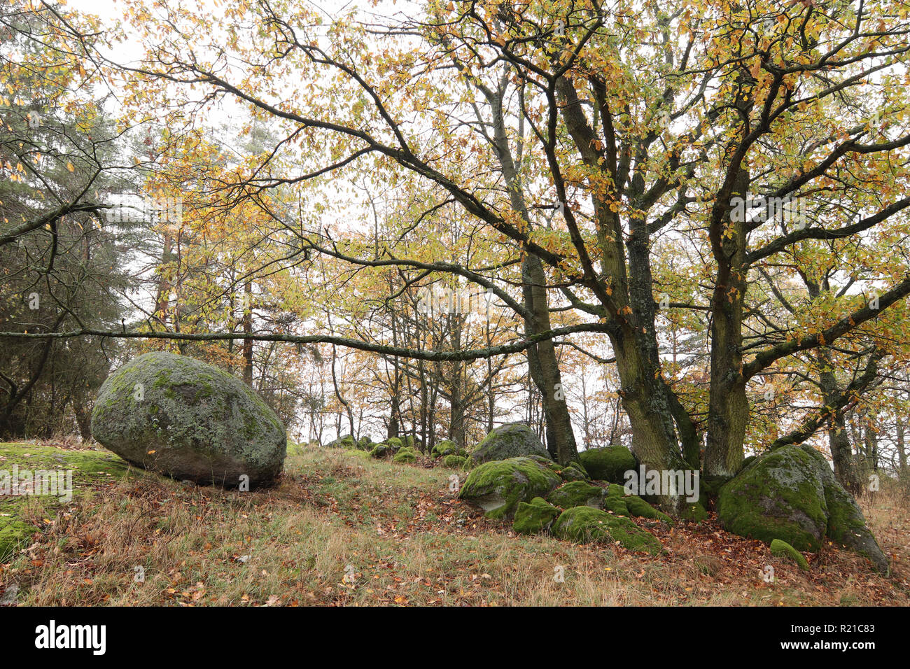 Old balanced boulder - interesting rock formation, Radvanov village, Czech Republic Stock Photo
