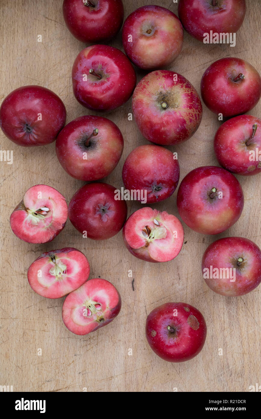 Malus domestica. Apple ‘Redlove era’. Harvested 'Redlove Era' Apples on a woodenboard some of which have been cut in half to show the red flesh Stock Photo