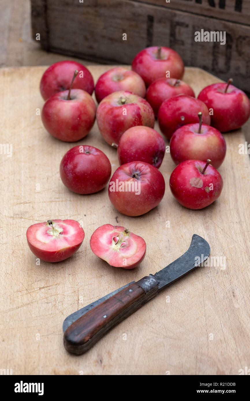 Malus domestica. Apple ‘Redlove era’. Harvested 'Redlove Era' Apples on a woodenboard some of which have been cut in half to show the red flesh Stock Photo