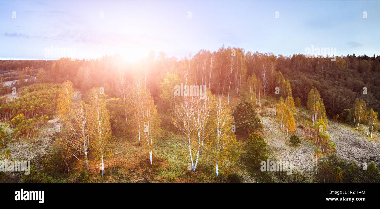 Russia field aerial corn hi-res stock photography and images - Alamy