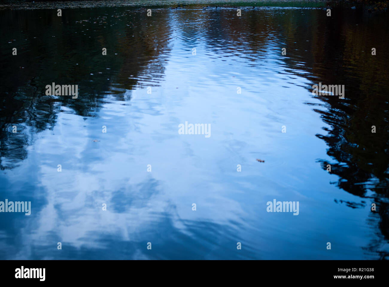 Tree trees fresh water hi-res stock photography and images - Alamy