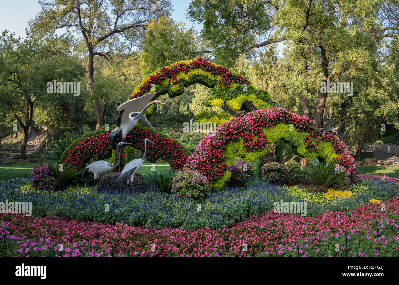 Floral display garden hi-res stock photography and images - Alamy