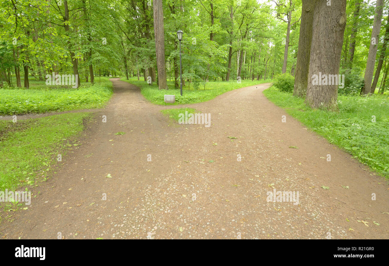 The trail in the forest doubles in different directions.Colorful views ...