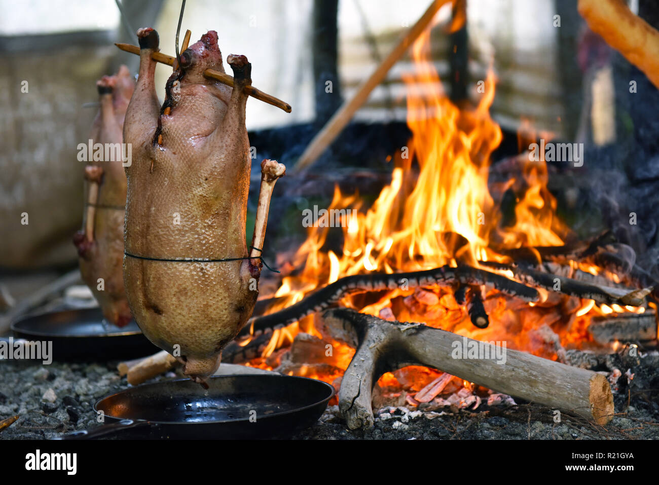 Wild Geese cooking on a fire , Indigenous Community , Northern Quebec Stock Photo