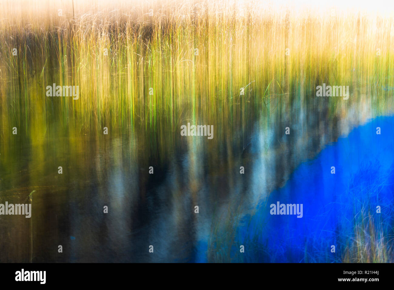 camera blur effect in a wonderful autumn day in Alpe Devero Stock Photo