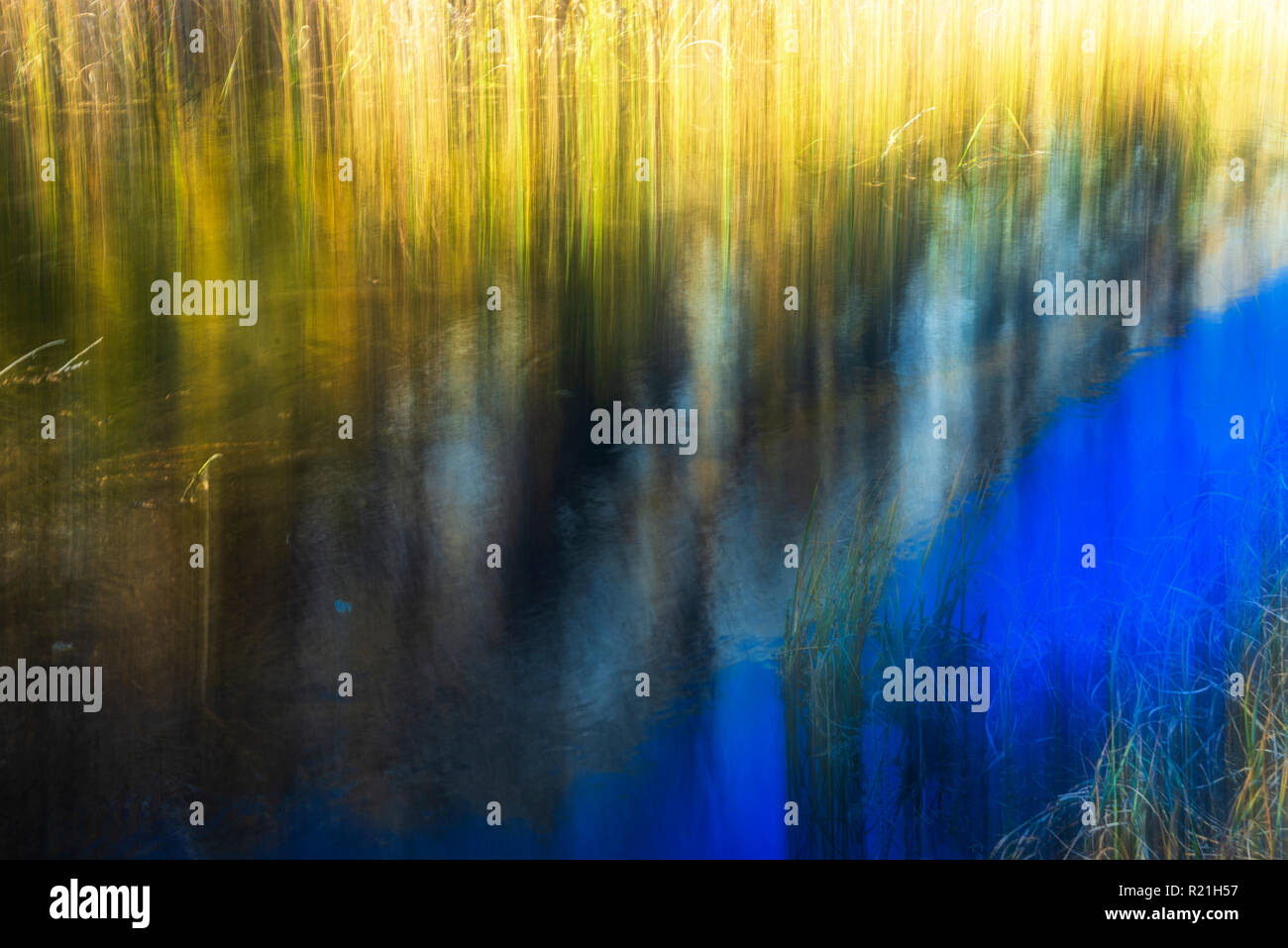 camera blur effect in a wonderful autumn day in Alpe Devero Stock Photo