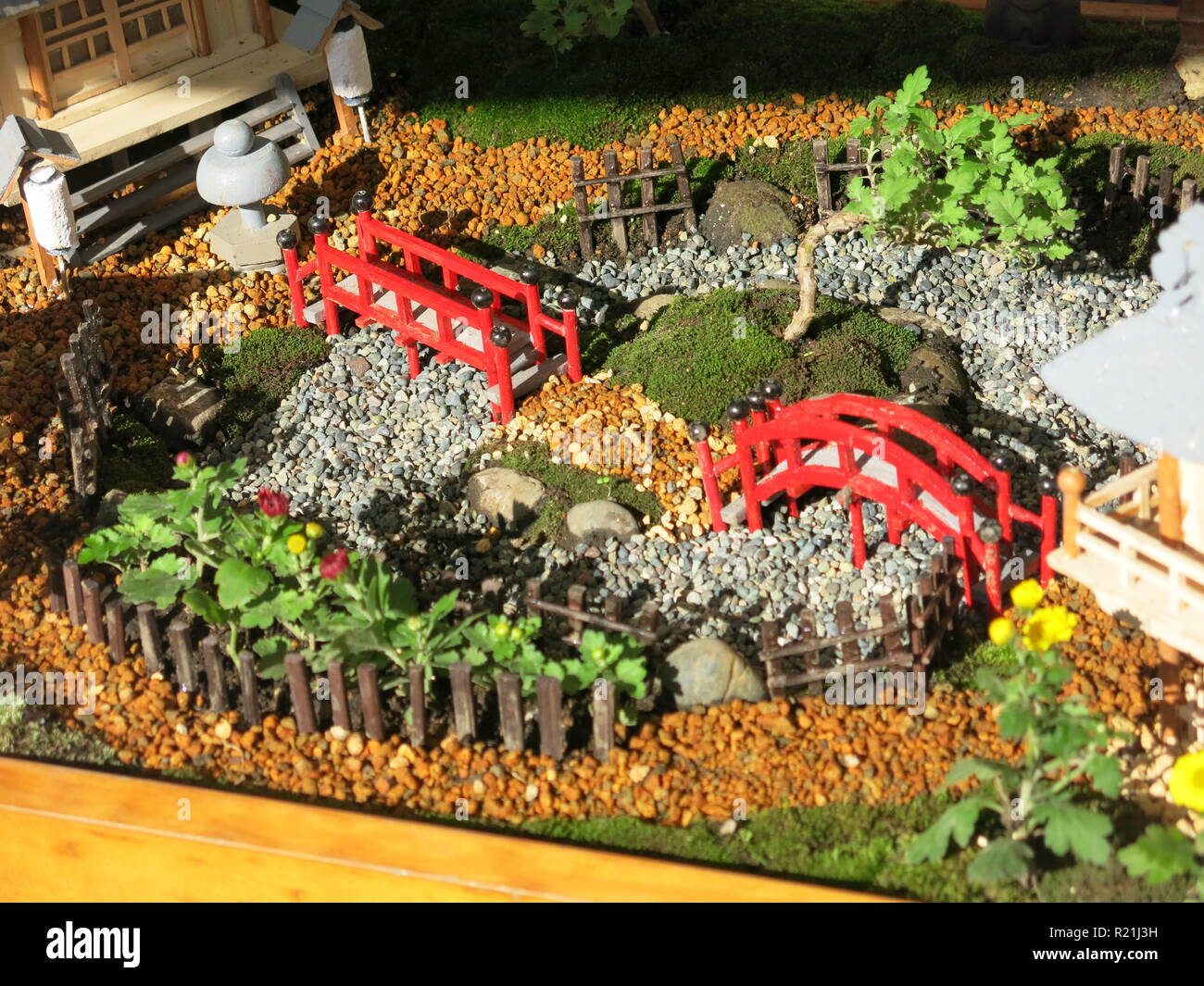 Bonsai exhibition hires stock photography and images Alamy