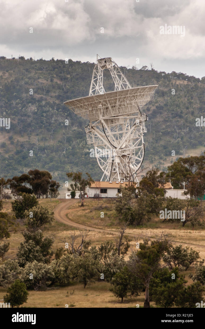 Hobart, Tasmania, Australia December 13, 2009 Close photo of giant