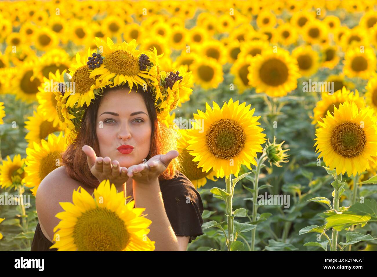 Ukrainian girl in a wreath of sunflowers in a field of sunflowers. Ukraine Stock Photo Alamy