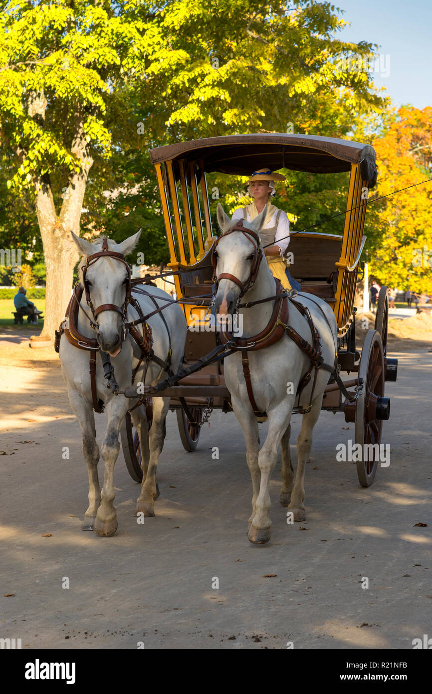 Horse drawn carriage in Colonial Williamsburg Stock Photo Alamy