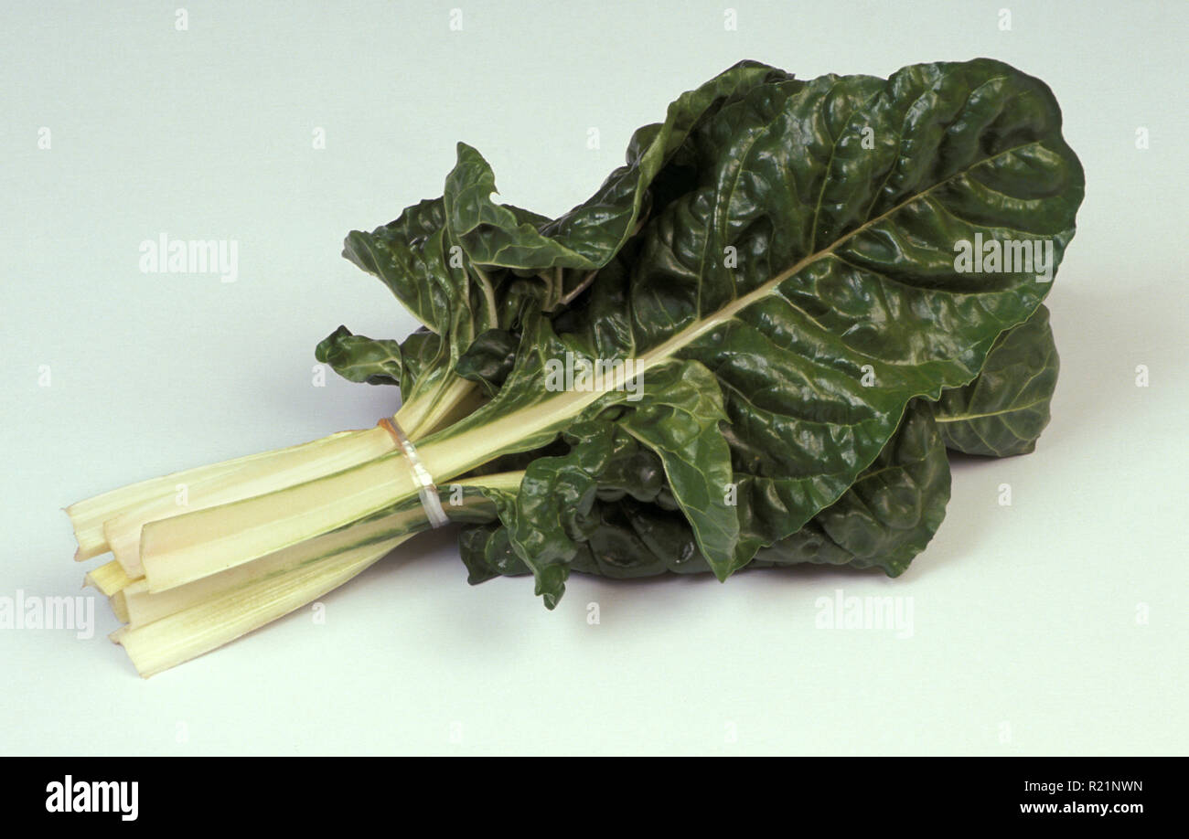 RUBY CHARD (SILVERBEET) BETA VULGARIS SSP. CICLA. CHENOPODIACEAE ON WHITE BACKGROUND. Stock Photo